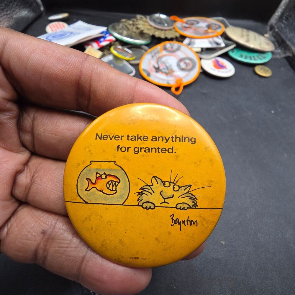 Vintage Sandra Boynton Cat Pinback Button Never Take Anything for Granted